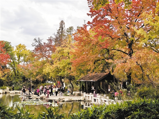 天平山秋色十分醉人。