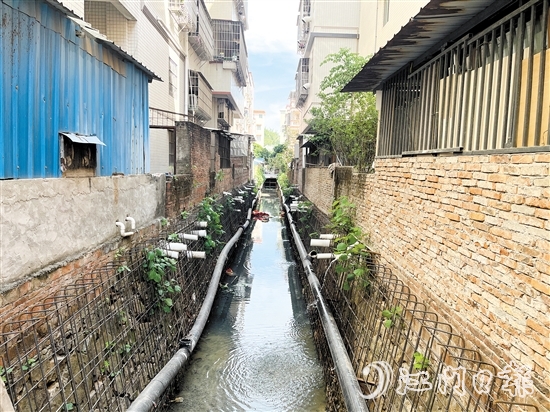 整改前的新昌明渠積存大量污水，長時間暴露后容易發(fā)黑發(fā)臭。