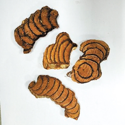 酉雞——雞血藤