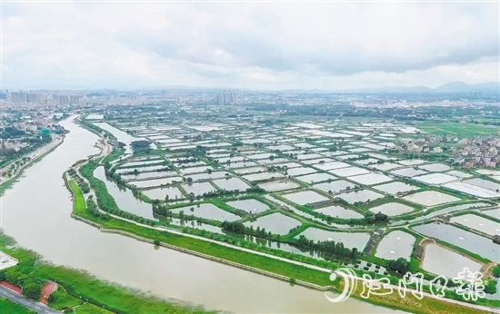 古勞鎮(zhèn)發(fā)動(dòng)魚塘養(yǎng)殖戶開展魚塘清淤，推動(dòng)魚塘養(yǎng)殖增產(chǎn)增收。