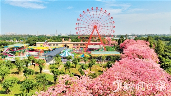依托禮樂街道獨特旅游資源，長廊生態(tài)園開發(fā)研學旅游項目，賦能“江門三點三精彩之旅”品牌建設(shè)。
