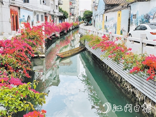 外海街道直沖村一河兩岸花團錦簇，美景如畫。