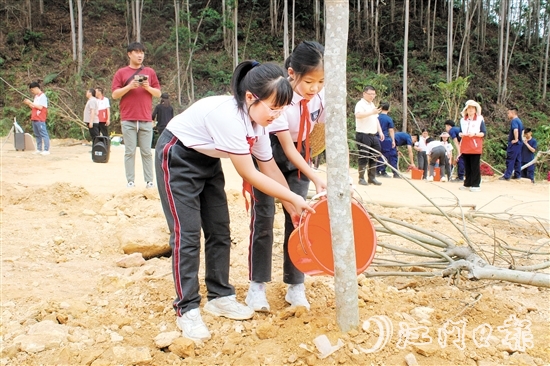 恩平華附學(xué)校的學(xué)生也參加了在泉林黃金小鎮(zhèn)舉行的植樹活動。