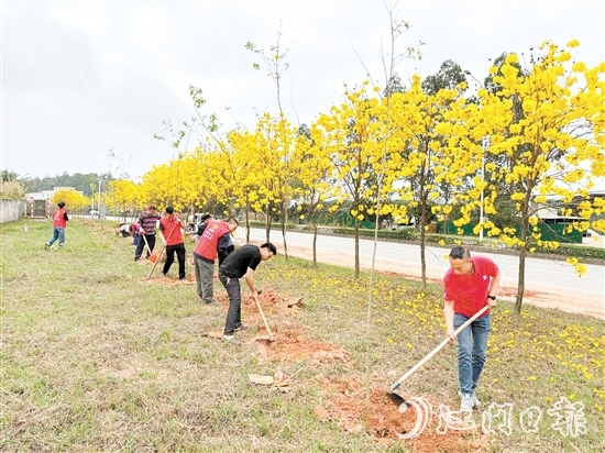 宅梧鎮(zhèn)組織開(kāi)展植樹(shù)活動(dòng)。