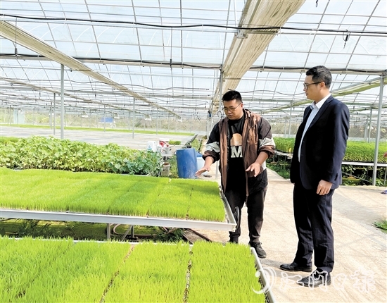 臺山農(nóng)商銀行客戶經(jīng)理上門對接農(nóng)戶春耕融資需求。