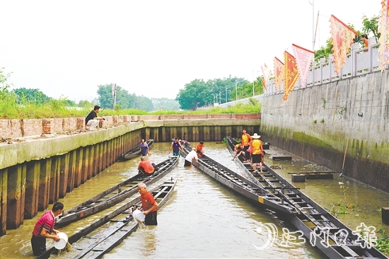 大澤鎮(zhèn)牛勒村將龍舟從泥潭中挖出。