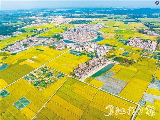 恩平土壤肥沃，富含“硒”元素，該市正努力推動讓“硒”資源轉(zhuǎn)化為富民強市的“硒”經(jīng)濟。圖為恩平市牛江鎮(zhèn)。