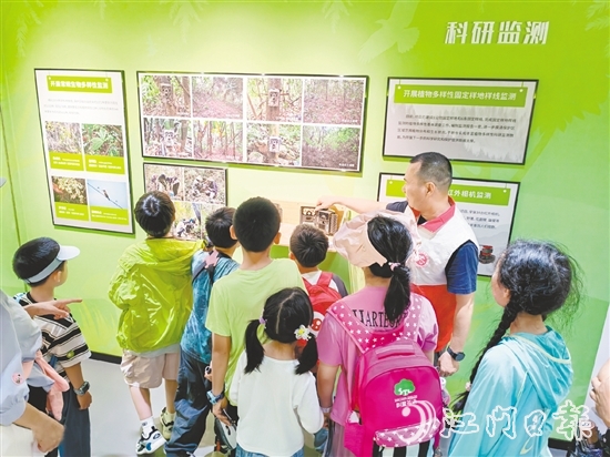 小朋友們在保護區(qū)學習有趣的知識。