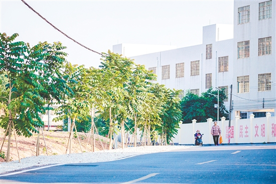 昆中村實(shí)施主干道環(huán)境提升項(xiàng)目。