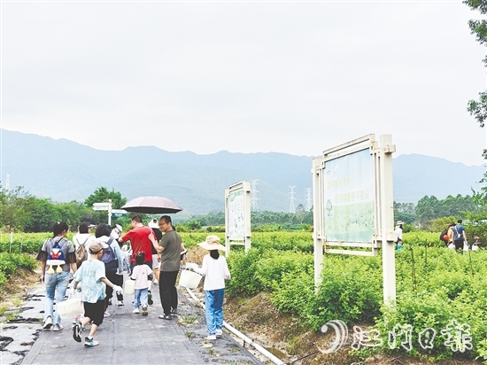 恩平市簕菜文化創(chuàng)意園打造集文旅、飲食、研學(xué)、農(nóng)耕等于一體的旅游綜合體。