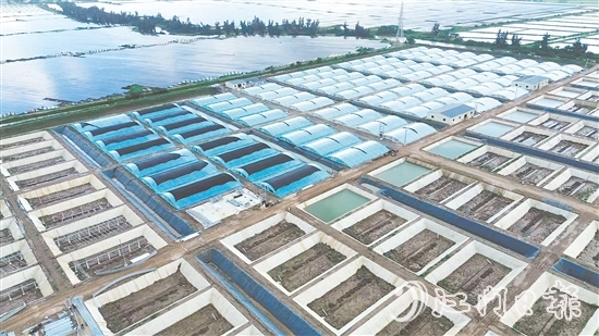 汶村鎮(zhèn)今年新引進華辰水產，這是集研發(fā)、規(guī)模化養(yǎng)殖、生產于一體的現代化項目。