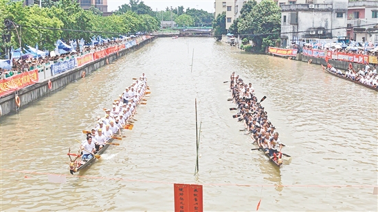 扒丁們在比賽中奮力劃槳。