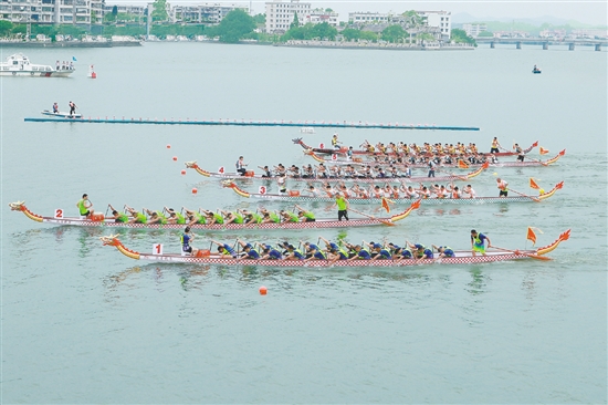 “嘉士利杯”2025年開平市國際龍舟邀請賽在潭江舉行。