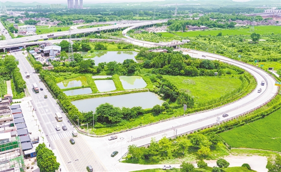 近年來，水步鎮(zhèn)先后投入約500萬元用于周邊廊道建設(shè)。