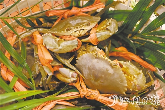 崖門水蟹肉少水多，最適合原只清蒸后用吸管“啜”著吃。