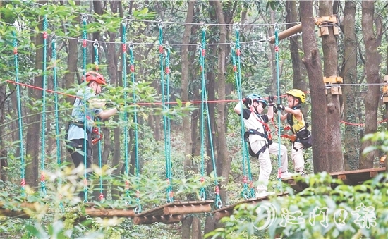 鶴山大雁山飛越叢林樂園十分火熱，吸引各地游客進山探秘原始叢林，體驗戶外運動帶來的無限樂趣。