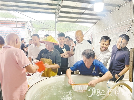 牛江鎮(zhèn)定期開展技術下鄉(xiāng)服務，提升養(yǎng)殖戶技術水平。