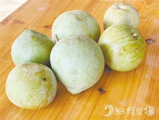 冰淇淋果果實成熟時可呈黃色或綠色，果肉為乳白色或米黃色，質(zhì)地綿軟順滑，果香濃郁。