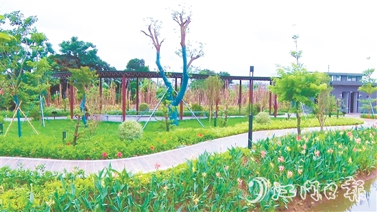 沙東村的村容村貌煥然一新。