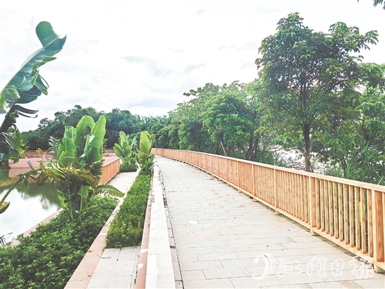 在紅衛(wèi)島堤防達(dá)標(biāo)加固工程的加持下，環(huán)島休閑漫步道建設(shè)持續(xù)推進(jìn)。