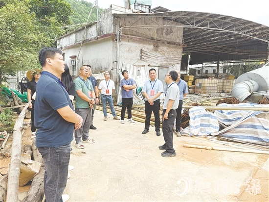 大江鎮(zhèn)人大代表走訪調(diào)研民生實事項目，廣泛收集民意。