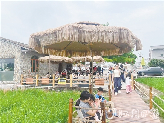 牛江鎮(zhèn)牛欄咖啡吸引諸多游客前來打卡。