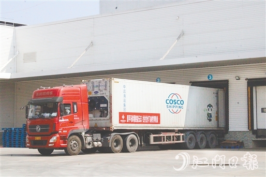 在廣東供銷（江門恩平）天業(yè)冷鏈物流產(chǎn)業(yè)園的支持下，恩平馬鈴薯實現(xiàn)出口外銷、錯峰銷售。