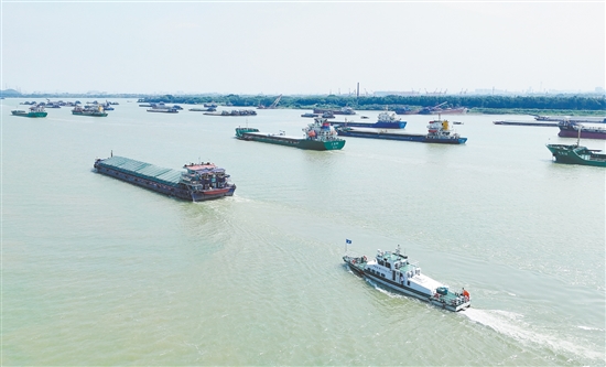 臺風來臨前，大批外地船舶有序進入江門銀洲湖、潭江、西江等水域避風。