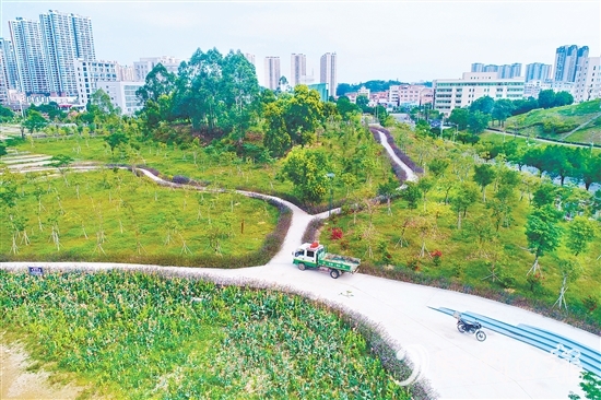 鶴山市聚焦城市交通重要點(diǎn)位，科學(xué)規(guī)劃，打造鶴山文化中心綠美鶴山示范點(diǎn)等，帶動(dòng)城鄉(xiāng)一體綠美提升。