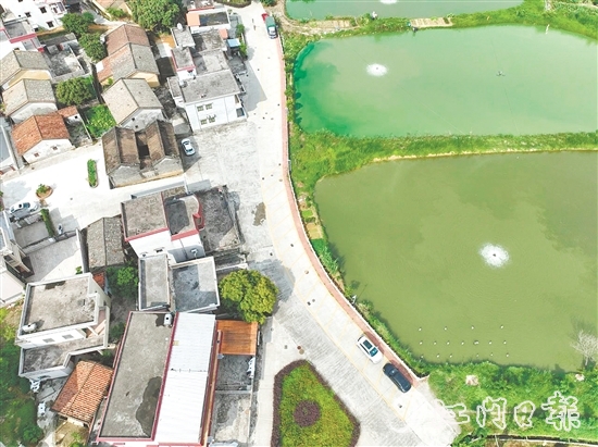 整治后的荔枝園村村道。