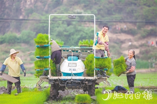 斗山鎮(zhèn)五福村以“產(chǎn)業(yè)融合+生態(tài)提質(zhì)+治理創(chuàng)新”的實踐路徑，將土地資源轉(zhuǎn)化為發(fā)展資本，讓傳統(tǒng)農(nóng)業(yè)迸發(fā)出現(xiàn)代活力。