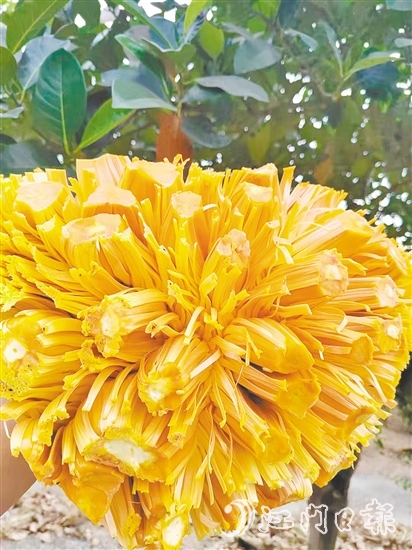 紅肉菠蘿蜜果實清香、口感脆甜且營養(yǎng)價值高。