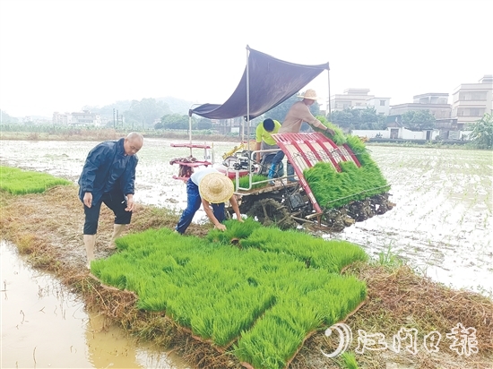 智富強(qiáng)村公司啟動(dòng)晚稻種植項(xiàng)目，通過對接第三方專業(yè)機(jī)構(gòu)，為項(xiàng)目提供技術(shù)支持，實(shí)現(xiàn)耕種環(huán)節(jié)機(jī)械化。
