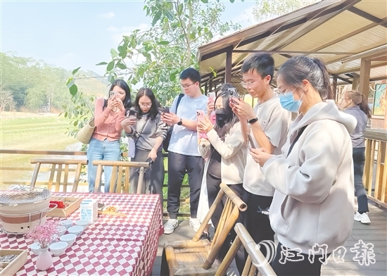 今年3月，開平市組織市重點(diǎn)自媒體走進(jìn)大沙鎮(zhèn)開展花海茶田系列采風(fēng)活動。