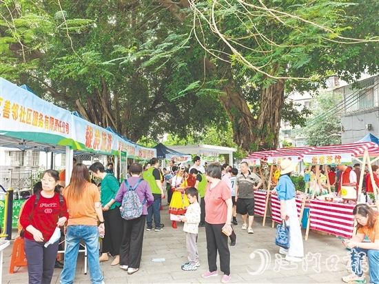 社區(qū)社會(huì)企業(yè)將利潤(rùn)按比例反哺社區(qū)公益,形成“服務(wù)—收益—反哺”的良性循環(huán)。圖為蓬江區(qū)善鄰社區(qū)服務(wù)有限公司在象山社區(qū)開展銀發(fā)經(jīng)濟(jì)集市活動(dòng)。