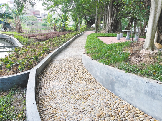 恩平自然村公園里裝設(shè)了石凳、石桌、鵝卵石健身路等設(shè)施，為村民提供更多的文化活動選擇。