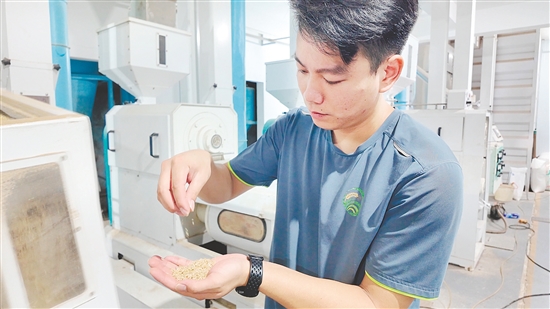 企業(yè)引入先進(jìn)設(shè)備加工生產(chǎn)大米。