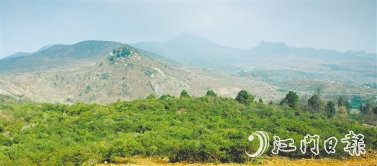 利奧集團(tuán)經(jīng)過(guò)多番考察，尋找到合適的山地種植油茶樹。