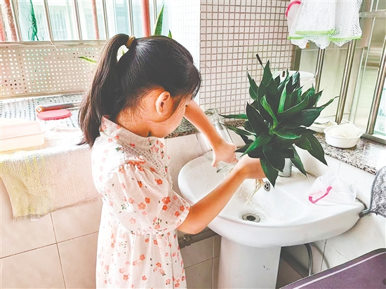 豐樂小學(xué)學(xué)生清理家里花瓶的積水。