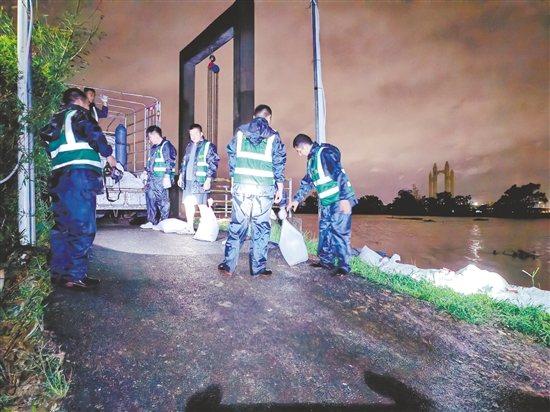 臺山市人武部出動34人分別前往水步鎮(zhèn)岡寧、密沖兩個村開展堤防加固及清障工作。