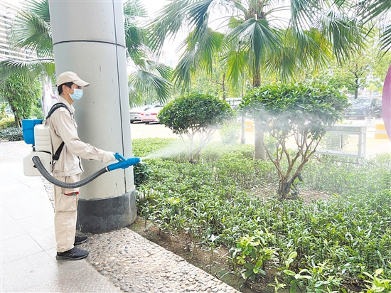 江門市婦幼保健院開展蚊蟲消殺行動，打造“無蚊醫(yī)院”。
