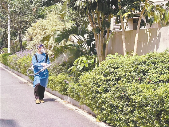 江門市江華小學(xué)對校園內(nèi)外進(jìn)行蚊蟲消殺。