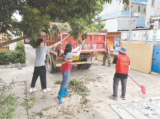 蓬江區(qū)在環(huán)市街道里村社區(qū)舊村片區(qū)開展攻堅行動。圖為環(huán)境整治組工作人員清理野生綠植。任佳燕