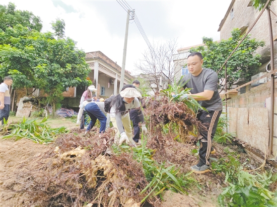 沙坪街道林屋村開展“兩清一滅”行動。