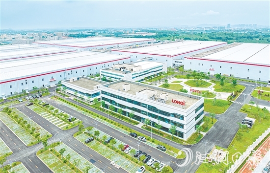 鶴山隆基綠能項目。