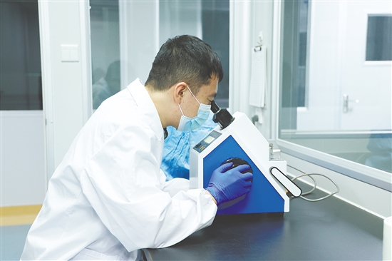 科研人員在工作。