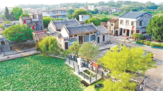 漫步在霄南村，一間間青磚灰瓦的老屋安靜佇立。