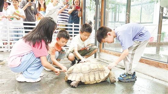 福倫文旅龜博園是嶺南地區(qū)首個以龜文化為主題的文旅博覽園。