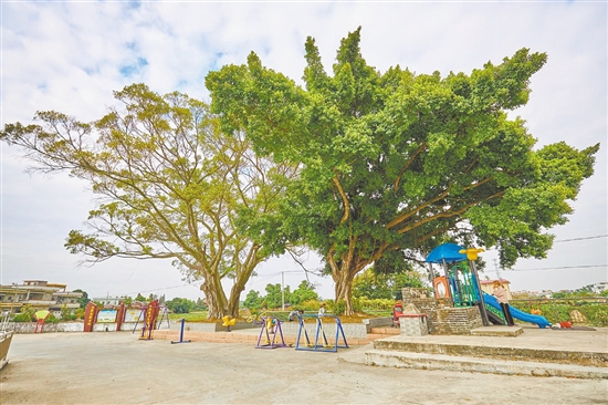 沙沖村完善基礎(chǔ)設(shè)施建設(shè)，為村民營造更舒適的休閑空間。