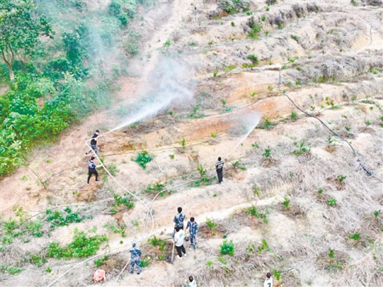 大江鎮(zhèn)在石橋坑尾村組織開展森林防滅火應(yīng)急演練，以實戰(zhàn)筑牢安全防線。